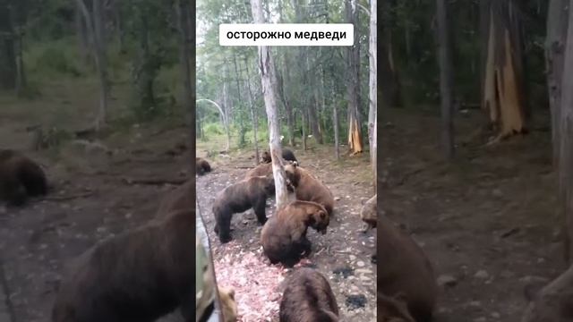 1000045559.mp4