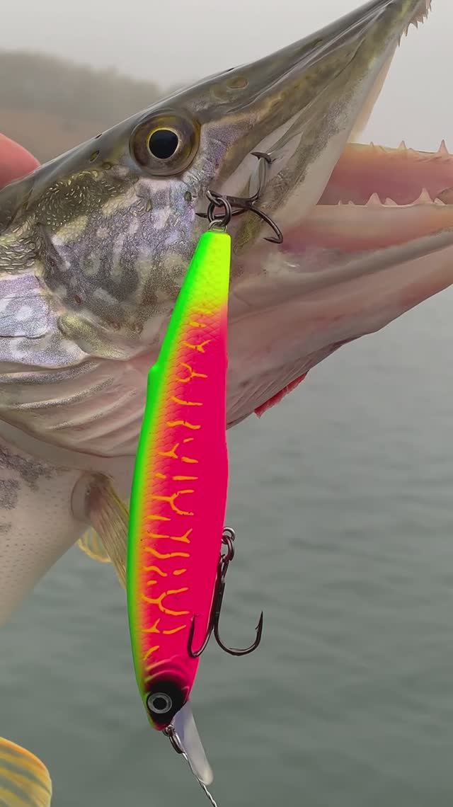 Привет, я твой обед! – сказала щука и прыгнула в лодку!😱💪💥 #shorts #рыбалка #luremax смотреть онлайн