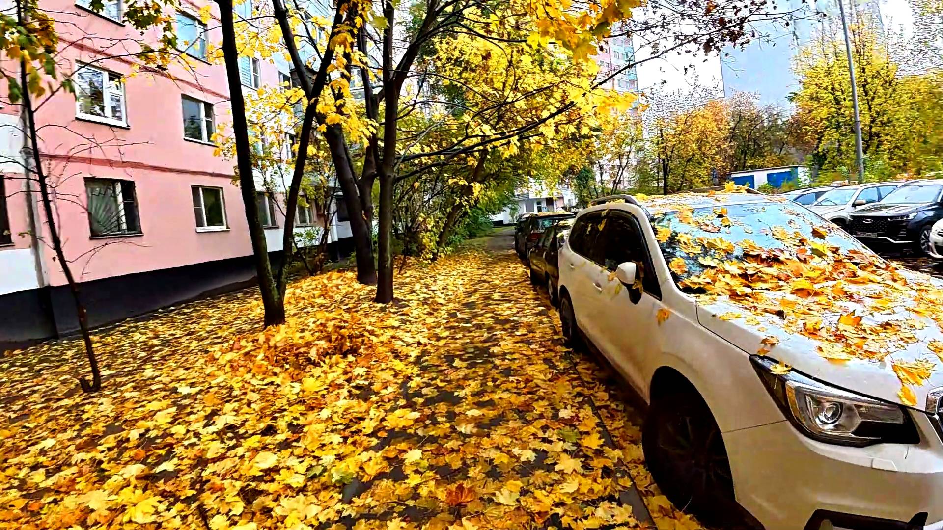 Машины усыпаны осенней листвой. Ветрено. смотреть онлайн