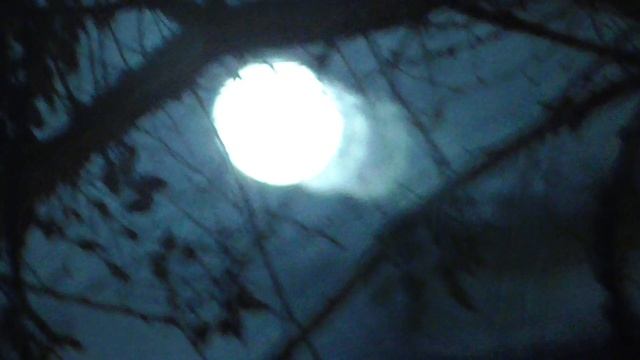 полночь и полнолуние это кайф