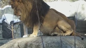 Как ты меня достала!