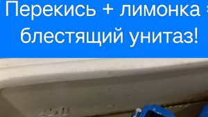 Как Легко Почистить Унитаз с бочком Лимонной Кислотой и Перекисью — Блестящий Результат Без Химии!