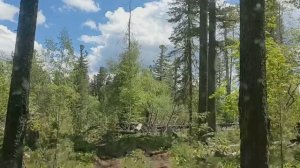 На зимовье.