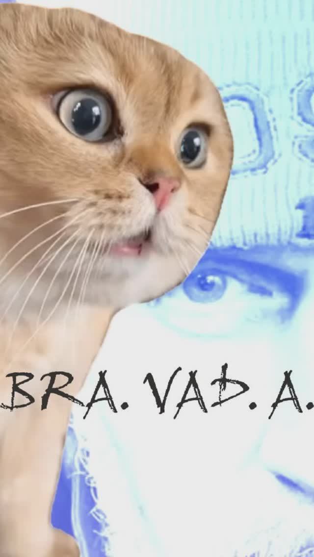 "Вердикт-Кредит" Альбом "Кредитный гангстер" автор BRA.VAD.A. (Бравада) Copyright©Все права защищены