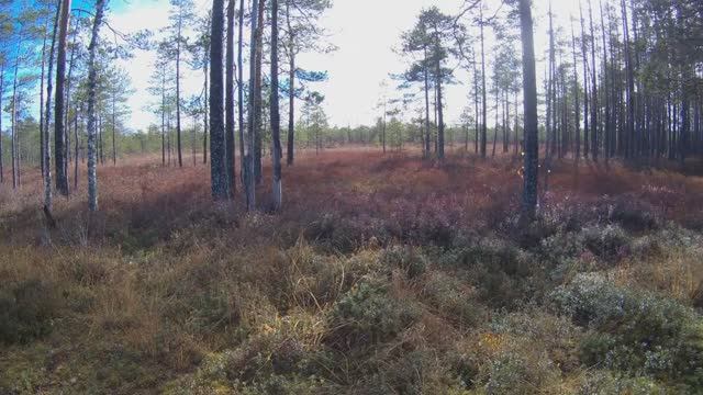 ЗАКРЫТИЕ сезона 2025года!!!