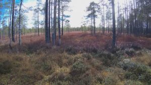 ЗАКРЫТИЕ сезона 2025года!!!