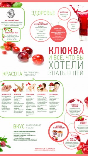 Самая мощная ягода Клюква