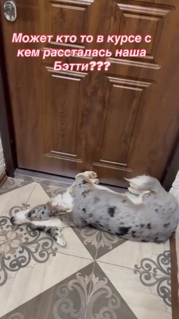 Напишите кто знает))) смотреть онлайн