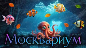 Рыба-хирург и другие рыбки. Рыбы. Рыбки. Релакс. Океанариум. Москвариум. Октябрь 2025