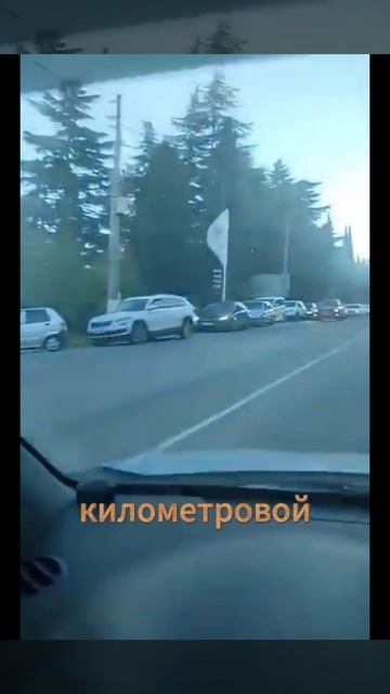 Дороже золота: сколько теперь стоит съездить на дачу.