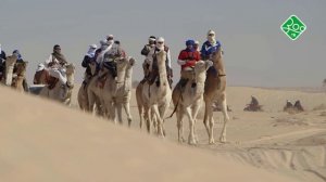 Возвращение верблюдовых. Анонс. Канал ЗОО ТВ