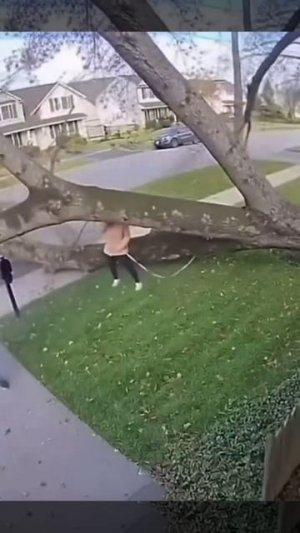 Счастливчики!