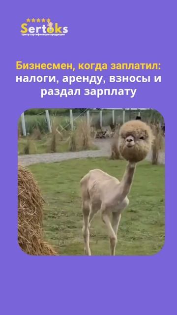 Калькулятор прибыли