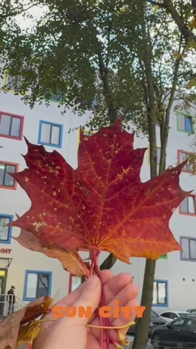 Осенние будни в Деловом квартале Sun City глазами нашей команды 🍁
