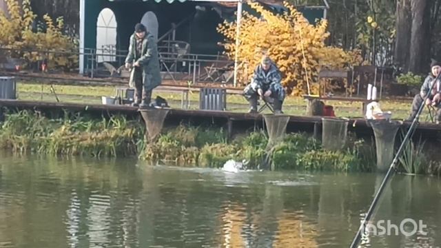 Клюёт в Липках смотреть онлайн