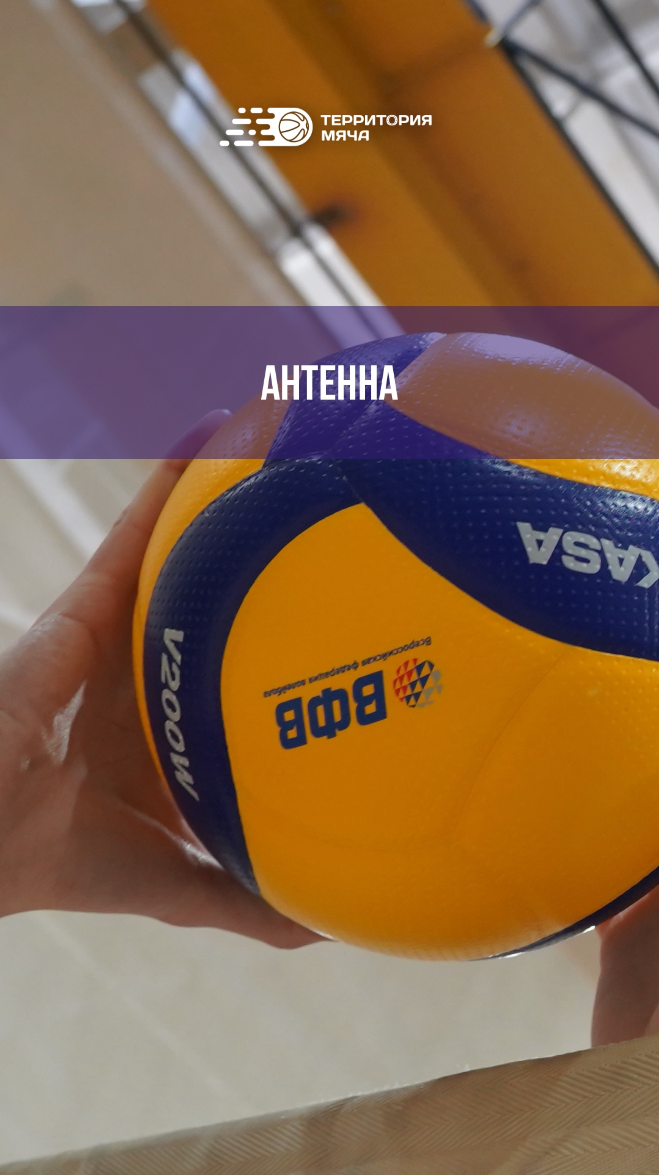 Волейбольная антенна — важный элемент сетки, обозначающий границы игрового пространства.