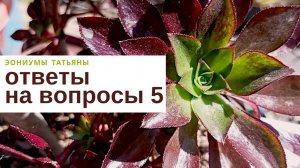 206. Ответы на вопросы - 5