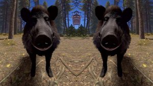 Самокат (VIP)