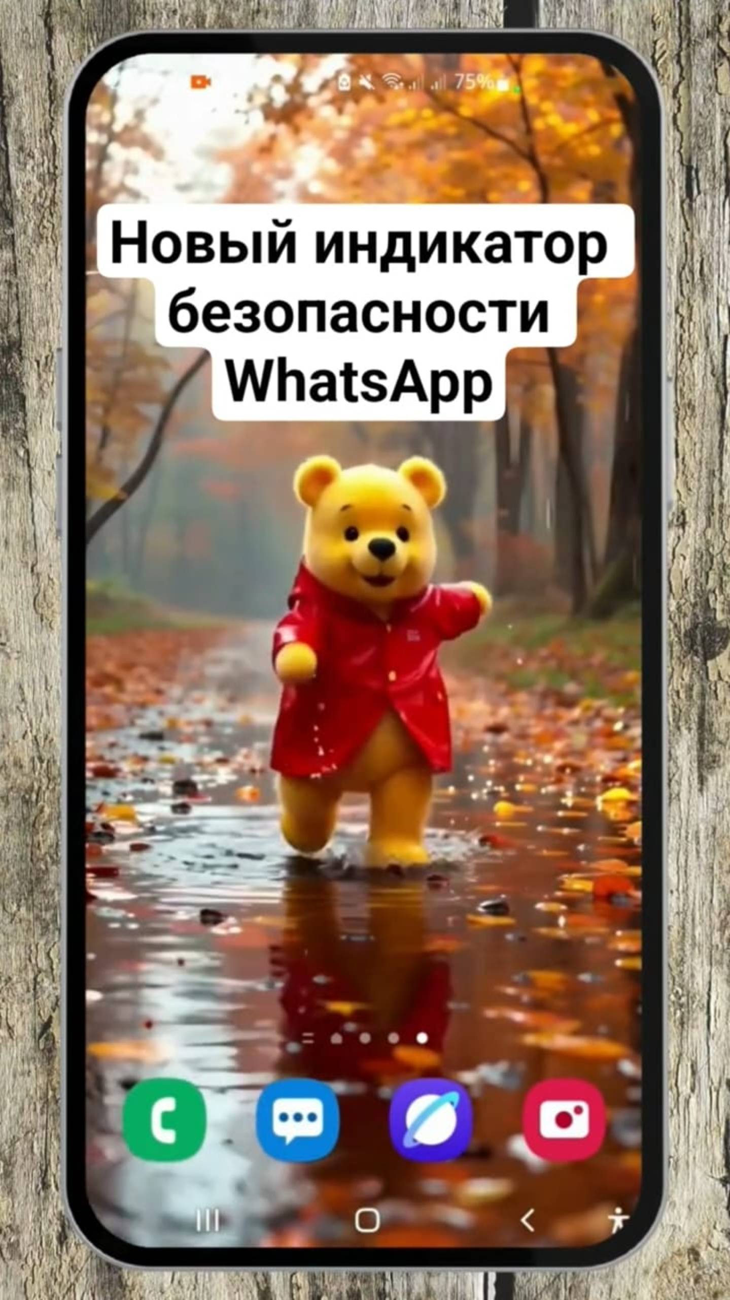 Новый Индикатор Безопасности WhatsApp смотреть онлайн