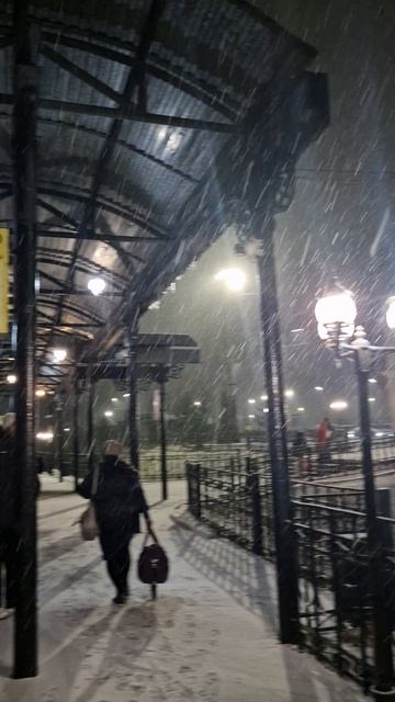 5 часов утра 29 сентября 2025 года. Поезд прибыл на ж.д. станцию Алдан смотреть онлайн