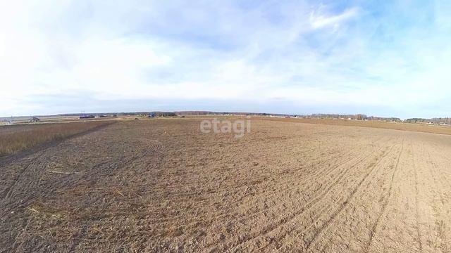 10038381, 10038381 смотреть онлайн