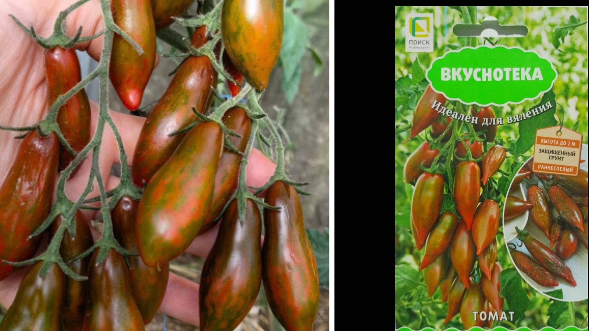 3 томата, которые обязательно посажу в следующем сезоне! смотреть онлайн