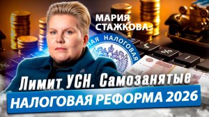 Мария СТАЖКОВА об УСН, фирмах-однодневках и рисках для самозанятых. АУСН / Время Инноваций интервью