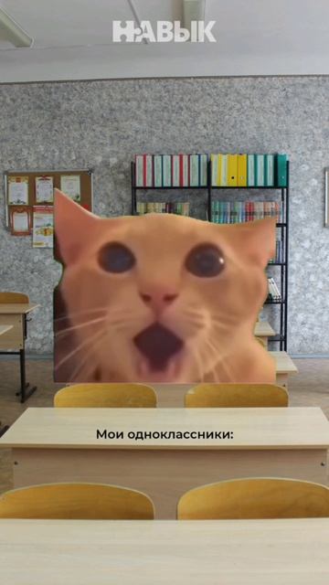 Поступай в вуз мечты с нами