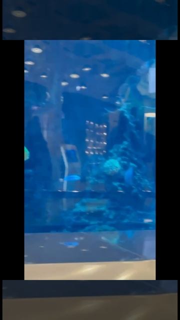 Мурена Настя