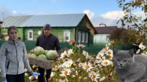 ОСЕННИЕ ДЕНЬКИ/ПРОДОЛЖАЕМ РАБОТУ НА УЧАСТКЕ/ОГУРЦЫ В ОКТЯБРЕ/ОДИНОКИЙ КОТЕНОК