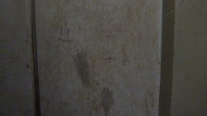 Пассажирский лифт (г. Ступино), V=0,71 м-с, Q=400 кг (21)