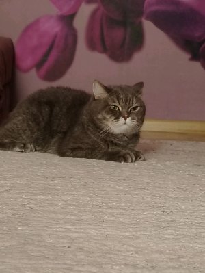 Дальнобойщики