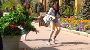 BEST SCARES OF BUSHMAN PRANK,(HILARIOUS REACTIONS)#fun#funny#comedy#prank