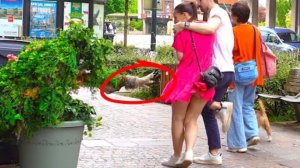 BUSHMAN PRANK_ SCARING PEOPLE IN MY NEW STREET #funny#fun#jokes#comedy