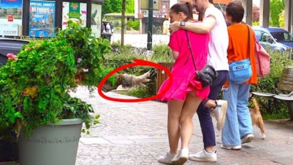 BUSHMAN PRANK_ SCARING PEOPLE IN MY NEW STREET #funny#fun#jokes#comedy