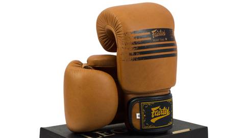 Перчатки боксерские Fairtex BGV21 смотреть онлайн