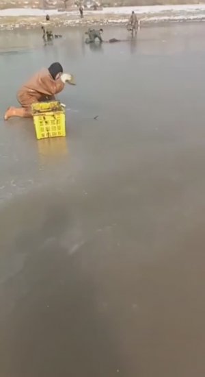 Где-то рыбачат и так))