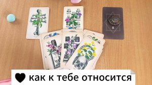 РАСКЛАД ТАРО Как к тебе относится загаданный человек? Гадание на картах Таро онлайн