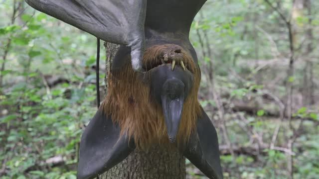 На Автодоме в Этномир | Влада идет в первый класс. смотреть онлайн