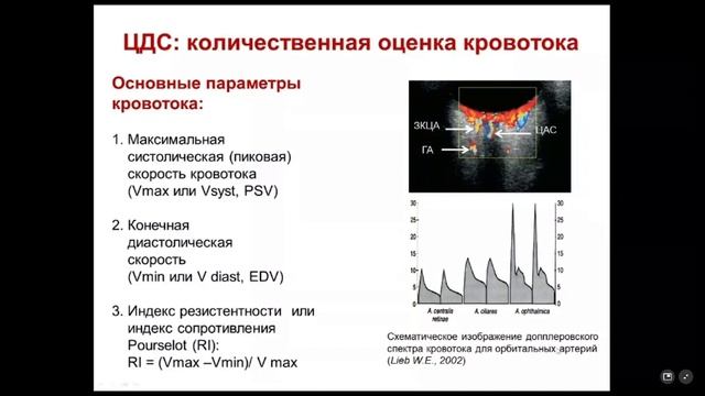 21 УЗИ портальная гипертензия смотреть онлайн