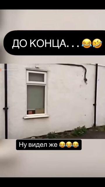 #83 || МЕМЫ || ПРИКОЛЫ || ЮМОР смотреть онлайн