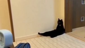 🤣 Кожаный... у меня Депрессия !!!... 🤣