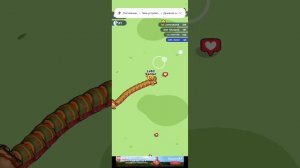 Играю в змейки