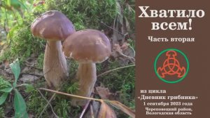Хватило всем! Часть вторая. Дневник грибника 1 сентября 2023 года.