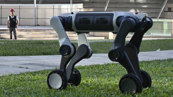 Global Times: робопсы начали патрулировать улицы Ханчжоу в КНР
