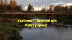 Рыбалка в Тверской обл. Рыбка радует)