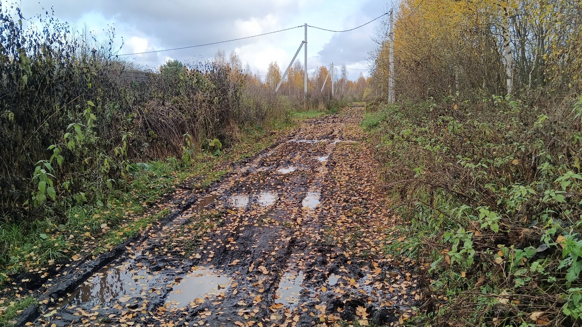 Становится холодно,скоро снег пойдет.А мы с мужем все на огороде ,доделываем свои дела. смотреть онлайн