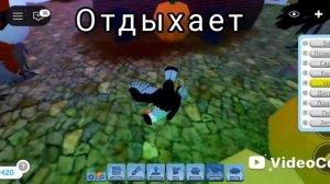 Каракара!🐦 Новое Обновление в  Feather Family! Roblox