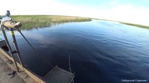 Вот это да.Рыба просто на каждом забросе.Приехал на старую переправу.