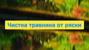 ЧИСТКА ТРАВНИКА ОТ РЯСКИ